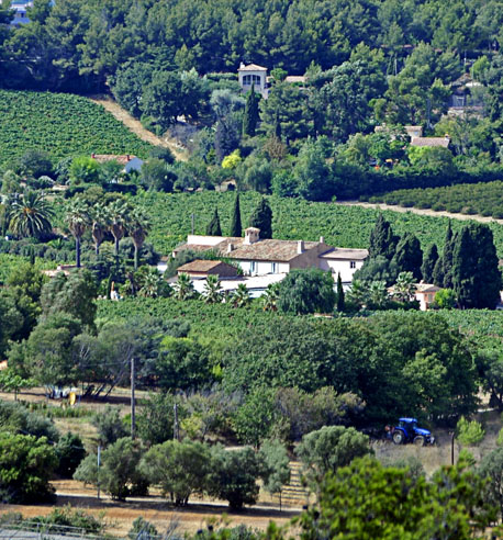 Lire la suite à propos de l’article L&rsquo;été au Monde du Vin
